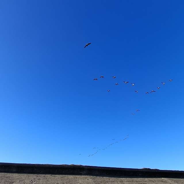 Lolliの美しい写真による天気予報