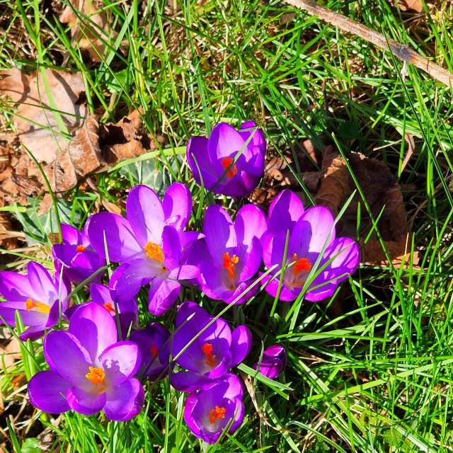 Tall. Weather forecasts with beautiful photos by Seni Photos in Velbert