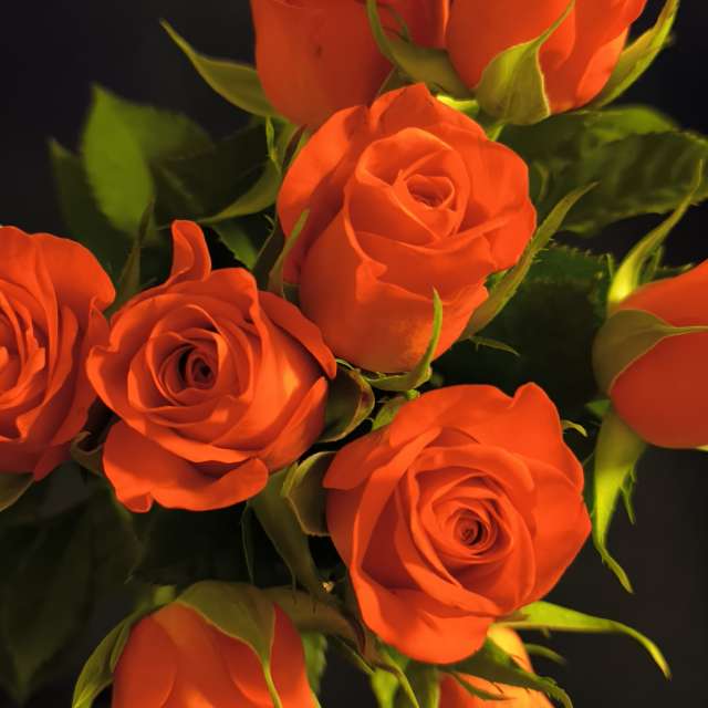 Dự báo thời tiết với những bức ảnh đẹp của Claudsch