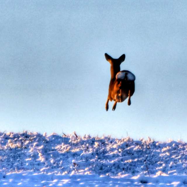 Prévisions météo avec de superbes photos de Lotti5507