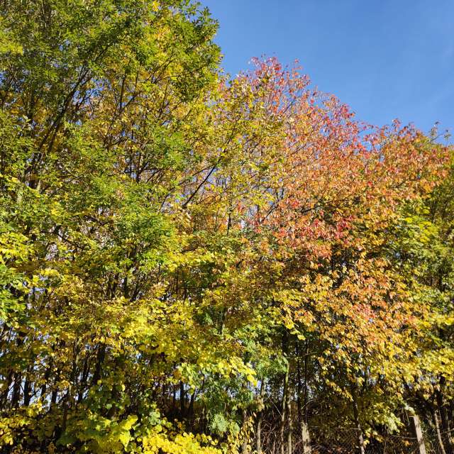 Fotos Grande. Previsões do tempo com lindas fotos de drollted em Česká Třebová