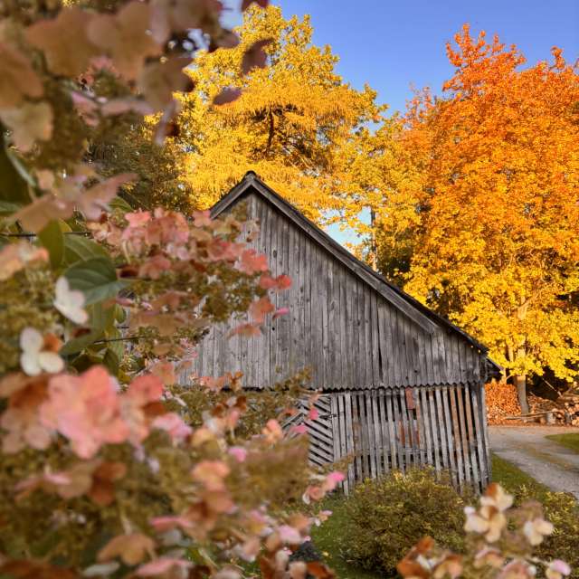 Weather forecasts with beautiful photos by Ewwa393