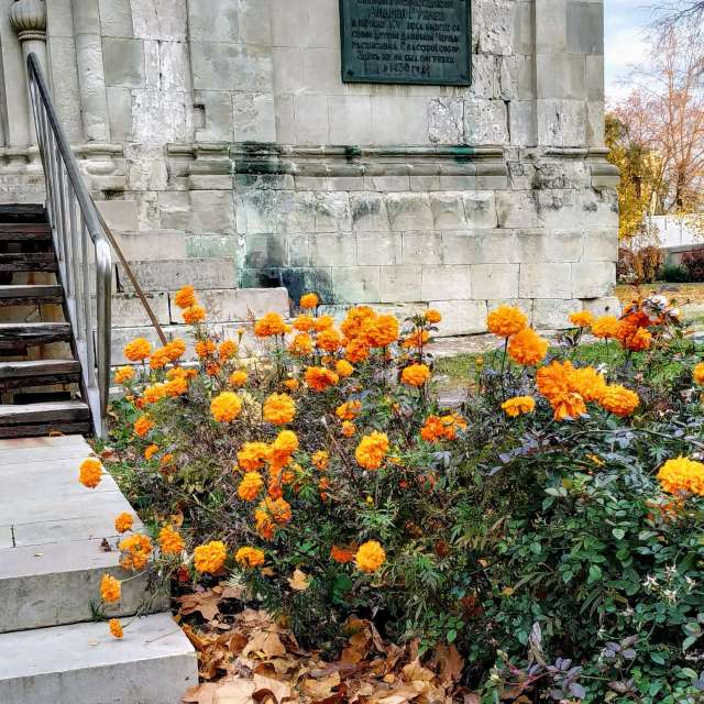 天气预报，带19Lora46精美的照片