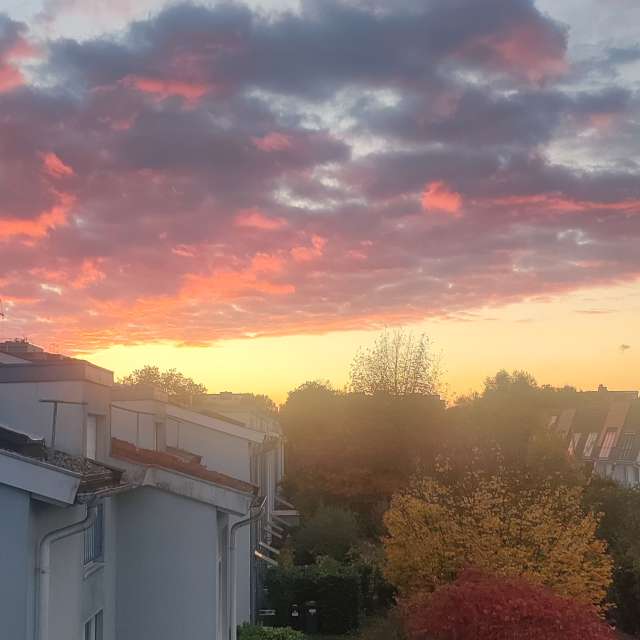 Orange. Weather forecasts with beautiful photos by Tercis Photos in Ettlingen