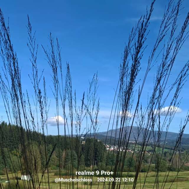 Previsões do tempo com lindas fotos de Muschelschloss