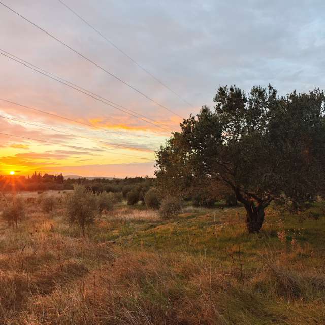 RoncevicRの美しい写真による天気予報