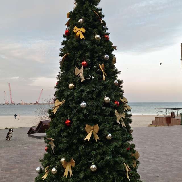 Fotos Barco. Previsões do tempo com lindas fotos de Михаил Бондаренко em Pionerskiy
