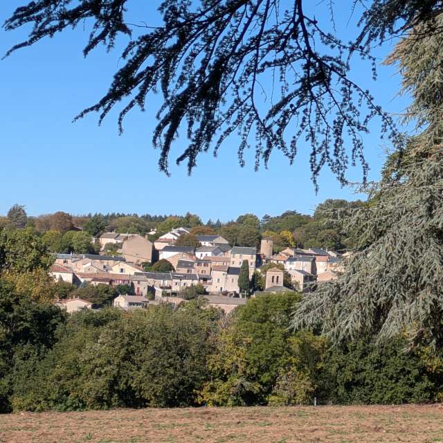 Morelenの美しい写真による天気予報