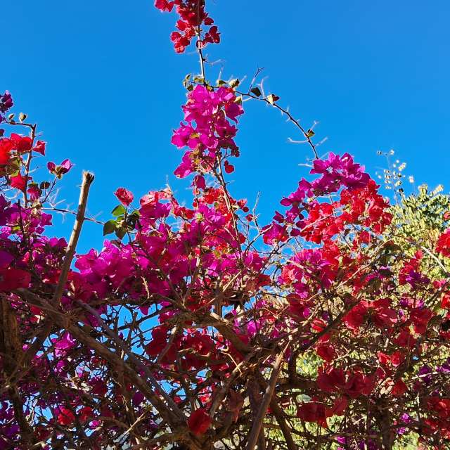 Weather forecasts with beautiful photos by Luiz-Toledo7