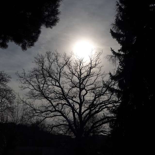 Fotos Abordado. Previsões do tempo com lindas fotos de Vasek325 em Praha 12