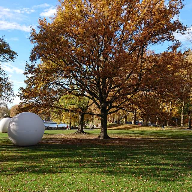 Grasig. Wettervorhersagen mit schönen Fotos von eagle1969 Fotos Münster