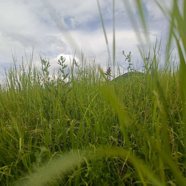 Weather Photos in . Weather forecasts with beautiful photos by Андрей_Медведский