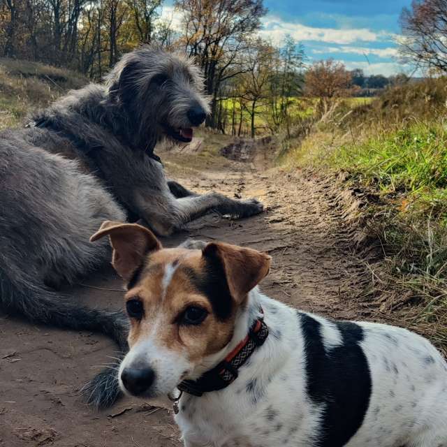 Прогнозы погоды с чудесными фотографиями, сделанными Karsten Wo