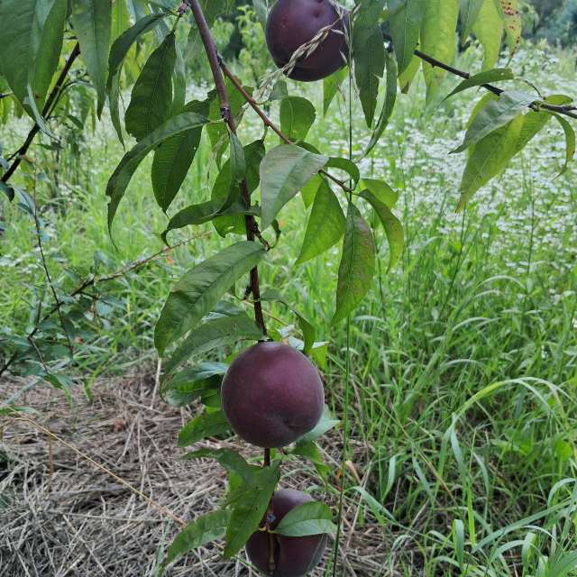 Weather forecasts with beautiful photos by urashm