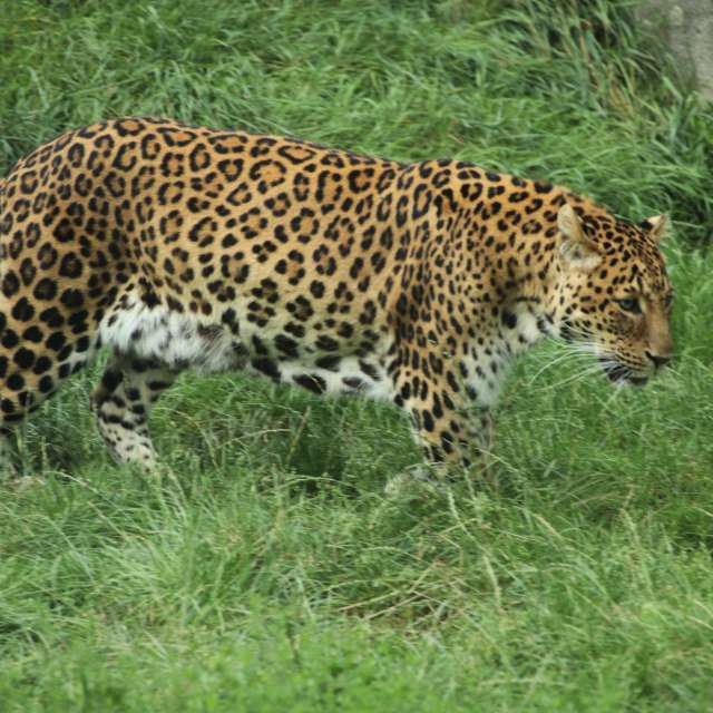 Fotos del Alto. Pronósticos del tiempo con hermosas fotos de Pawel Waligorski en Cracovia
