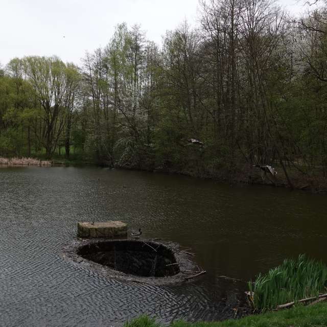 Fotos Lago. Previsões do tempo com lindas fotos de Vasek325 em Praha 12