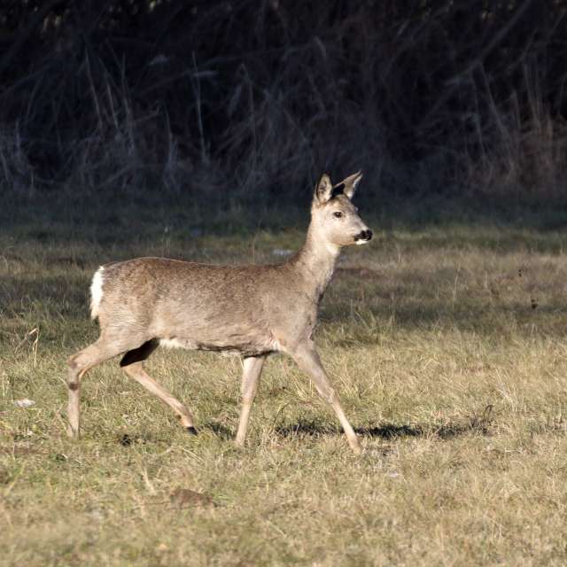 Tom44の美しい写真による天気予報