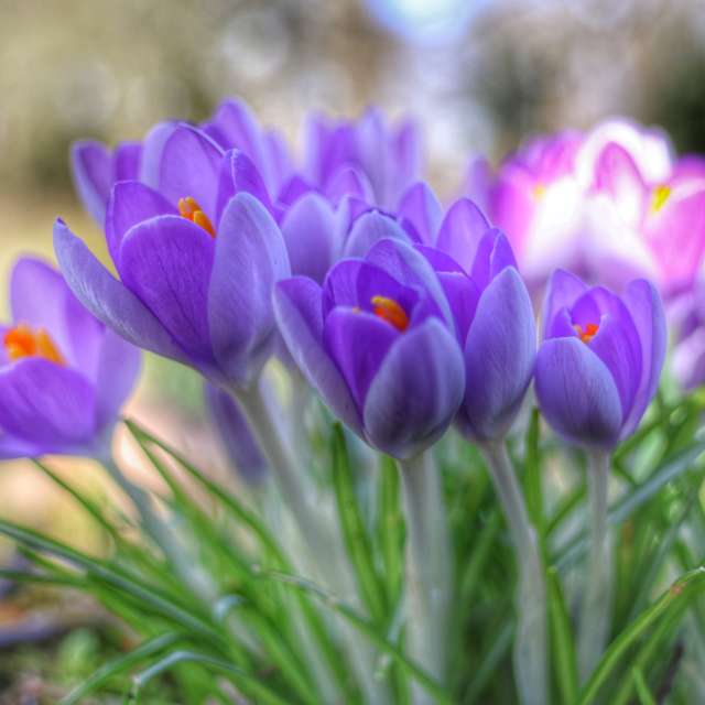Prévisions météo avec de superbes photos de Lotti5507