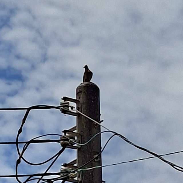 Sign. Weather forecasts with beautiful photos by Wen-ya Huang Photos in Kaohsiung City