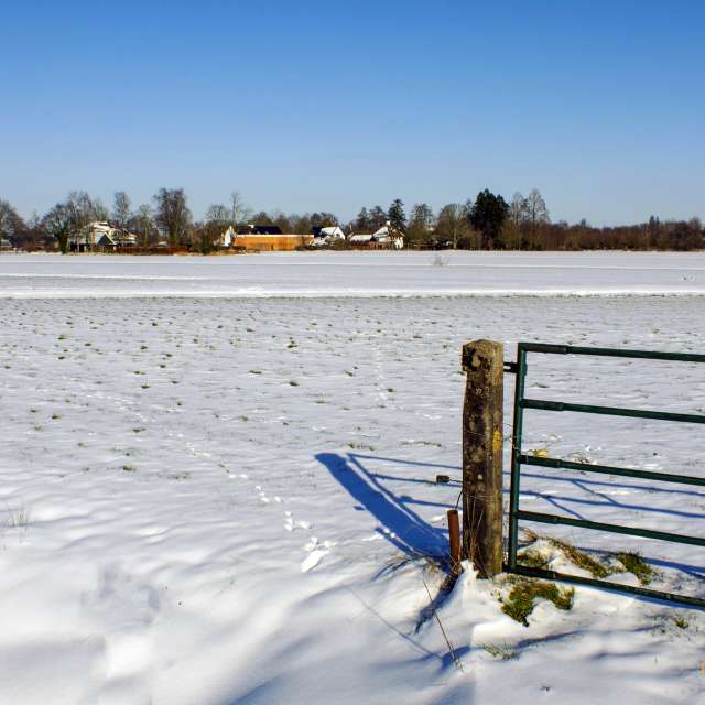 Weather forecasts with beautiful photos by Fon_Tunnissen