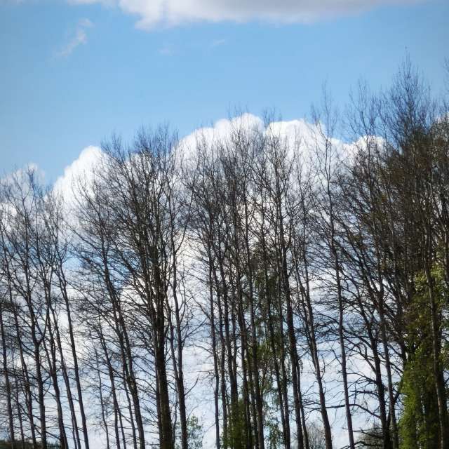 Fliegend. Wettervorhersagen mit schönen Fotos von Valiukas Fotos Litauen