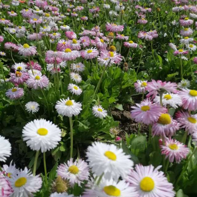 天气预报，带gentlemen55精美的照片