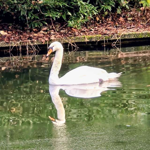 Helaの美しい写真による天気予報