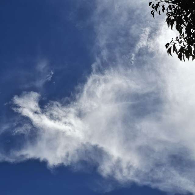 Coming. Weather forecasts with beautiful photos by Wen-ya Huang Photos in Kaohsiung City