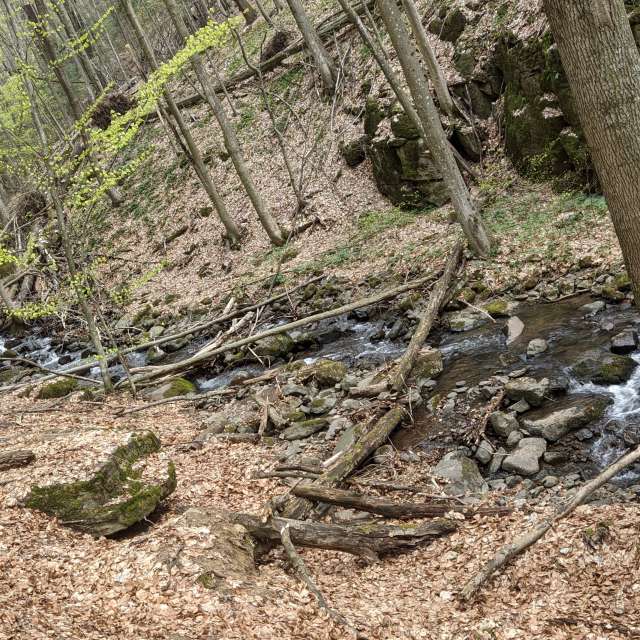 Fotos Rio. Previsões do tempo com lindas fotos de Сергій Данчівський em Uzhgorod