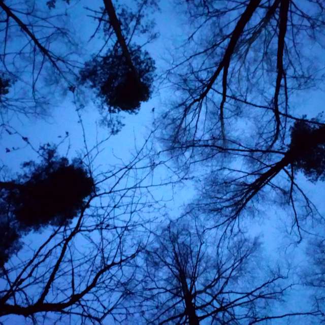Weather. Wettervorhersagen mit schönen Fotos von mikēniete Fotos Riga