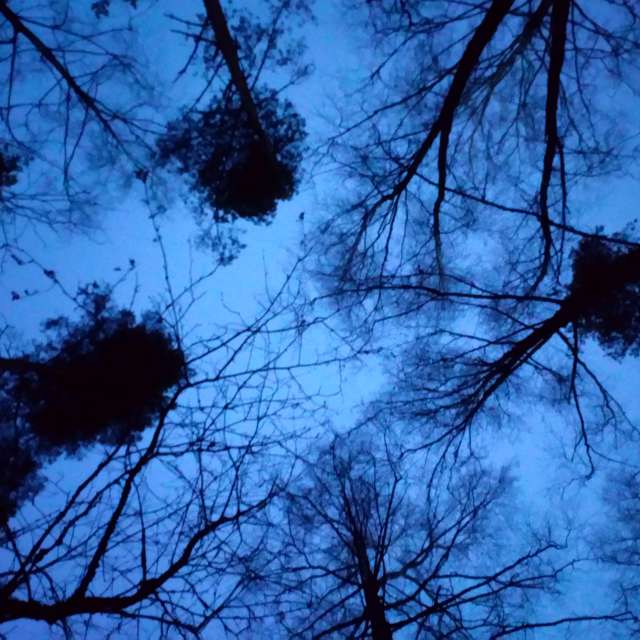 リガの天気写真. mikēnieteの美しい写真による天気予報