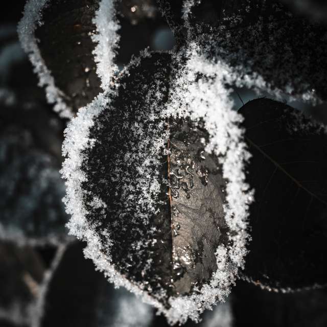 Weather forecasts with beautiful photos by RobertNagaj