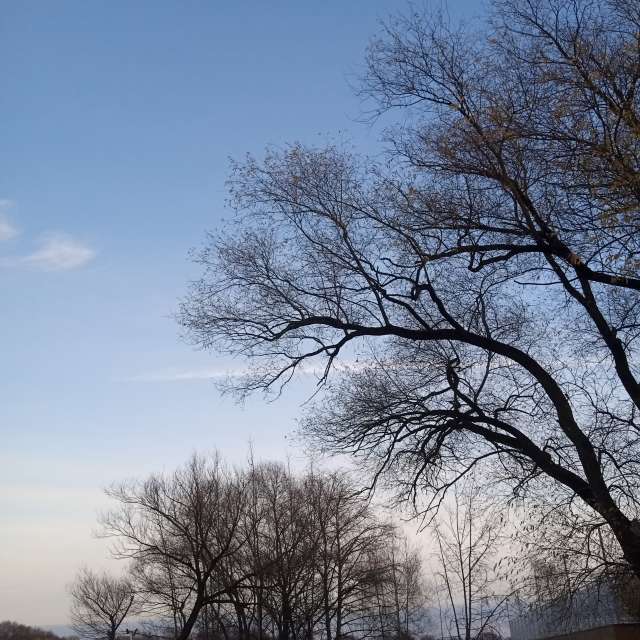 天气预报，带KO3A_C_MAPCA精美的照片