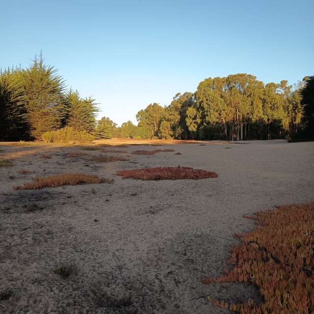 Pronósticos del tiempo con hermosas fotos de Nelson Toledo Calisto