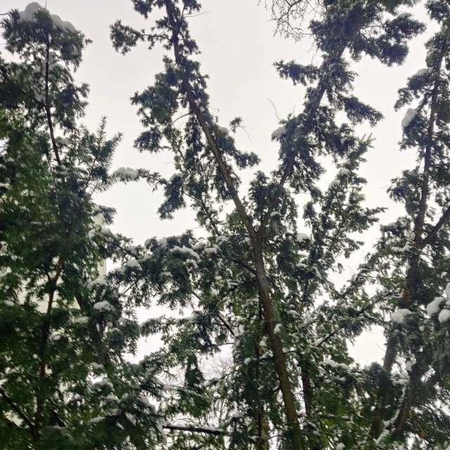 Прогнозы погоды с чудесными фотографиями, сделанными Zorrra