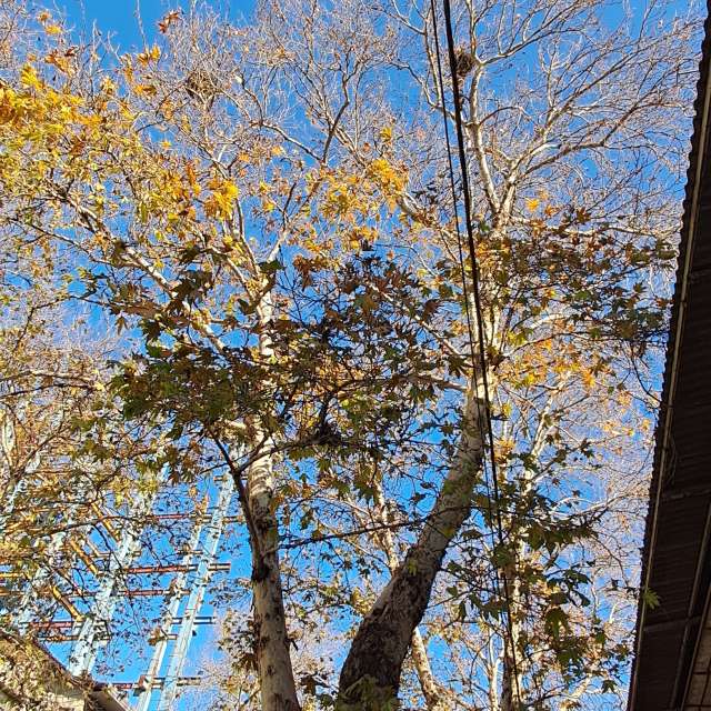 Pronósticos del tiempo con hermosas fotos de maziyar52