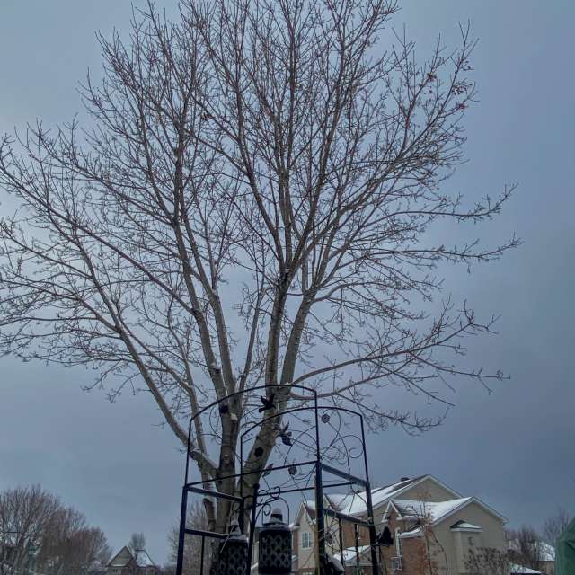 Pronósticos del tiempo con hermosas fotos de Lulu5523