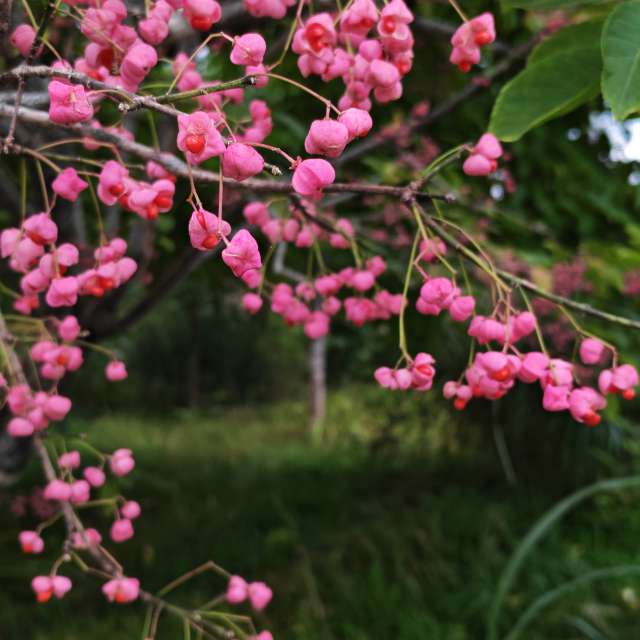 Wettervorhersagen mit schönen Fotos von MostlyHarmless
