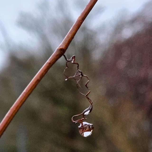 Prévisions météo avec de superbes photos de Seni