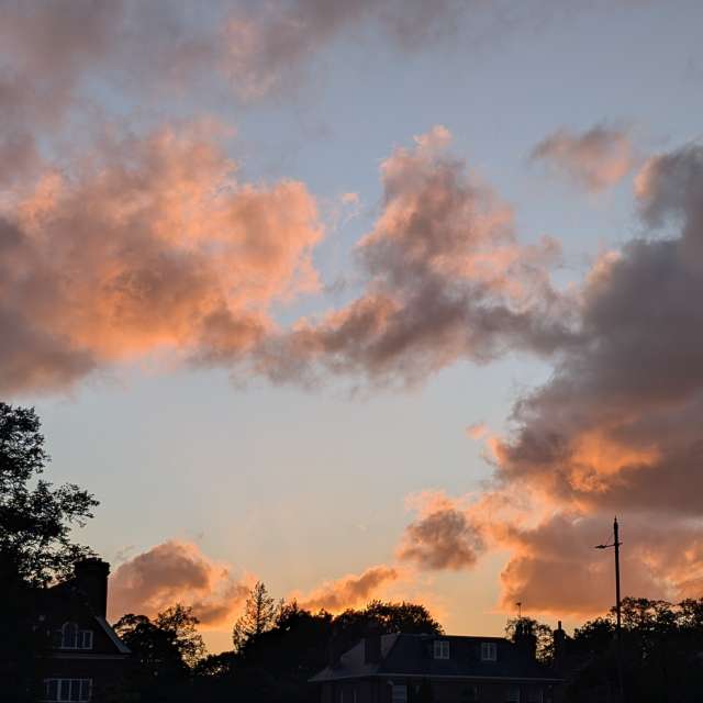 Cloudy. Weather forecasts with beautiful photos by Petewhites Photos in Lyne Lane