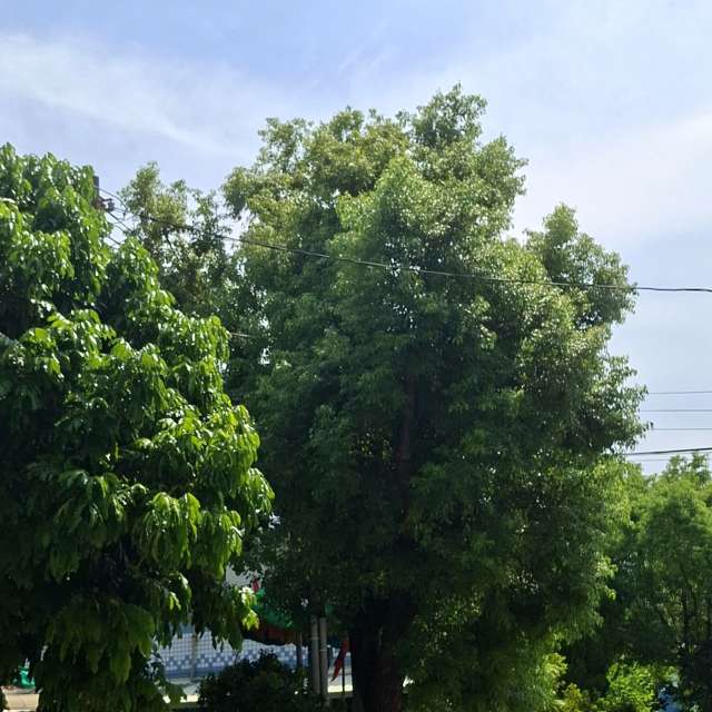 Traffic. Weather forecasts with beautiful photos by Wen-ya Huang Photos in Kaohsiung City