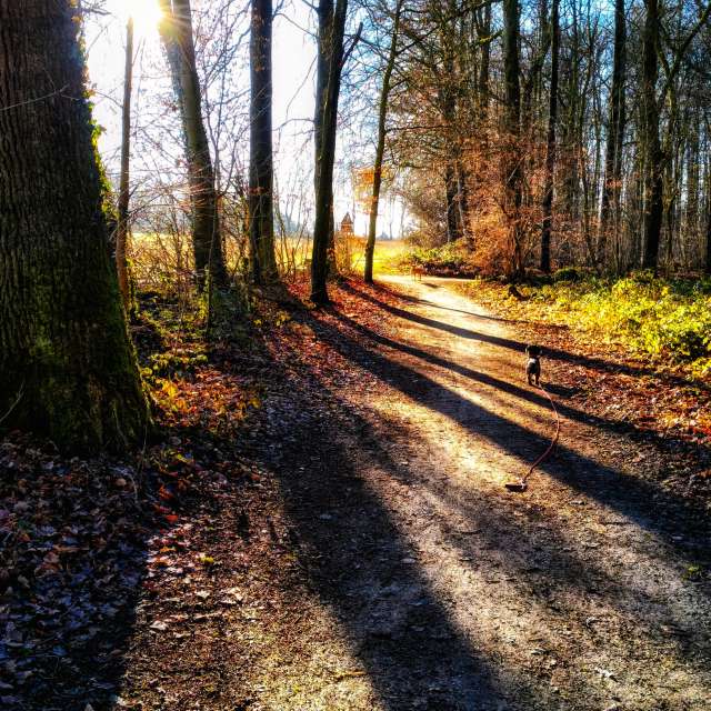 Weather forecasts with beautiful photos by Gweiland