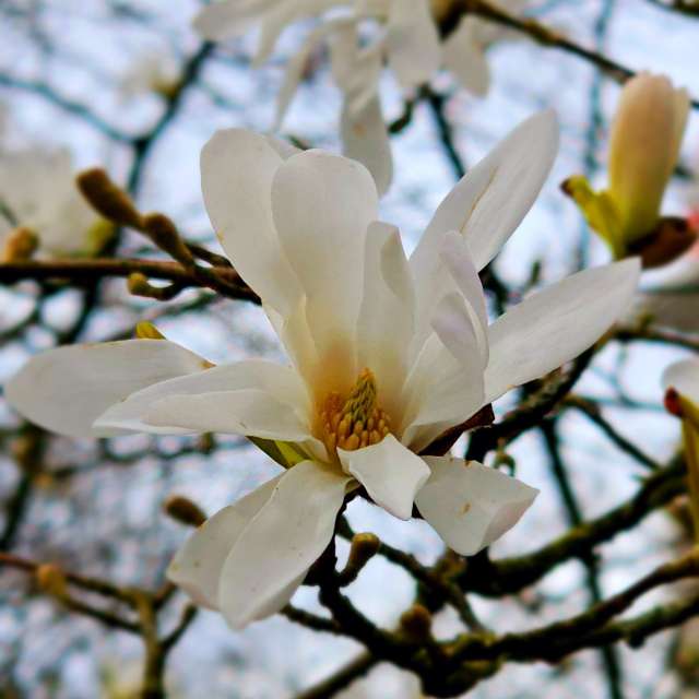 Fence. Weather forecasts with beautiful photos by Seni Photos in Velbert