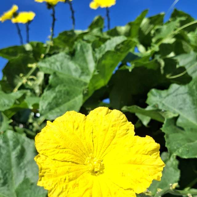Many. Weather forecasts with beautiful photos by Wen-ya Huang Photos in Kaohsiung City