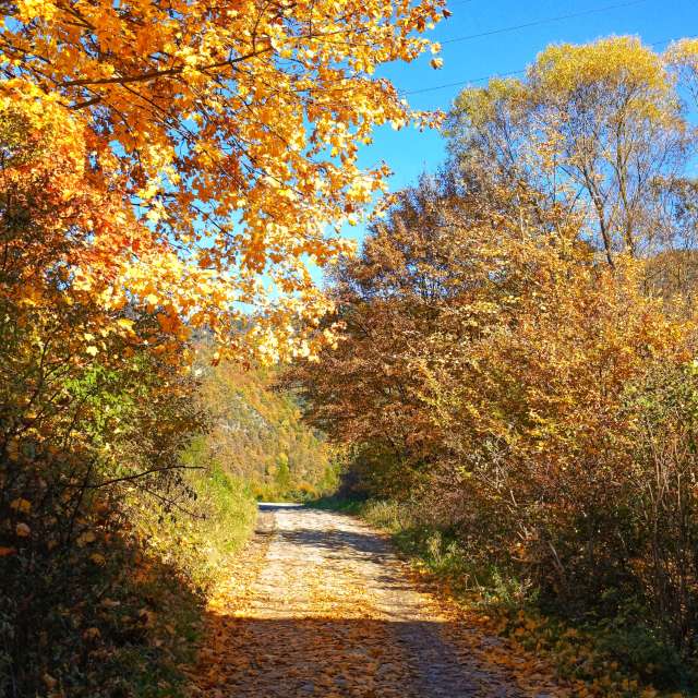Weather forecasts with beautiful photos by _richardd