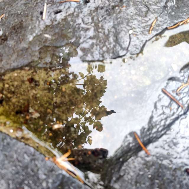 Fotos Molhado. Previsões do tempo com lindas fotos de Zorrra em Kladow