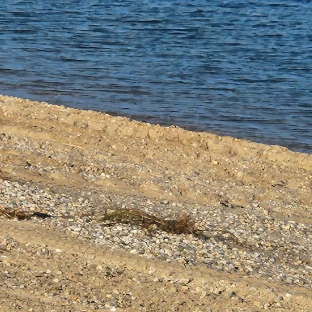 天气预报，带Rukh-08-08精美的照片