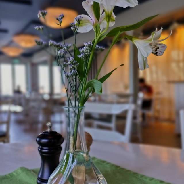 Previsões do tempo com lindas fotos de msolita88