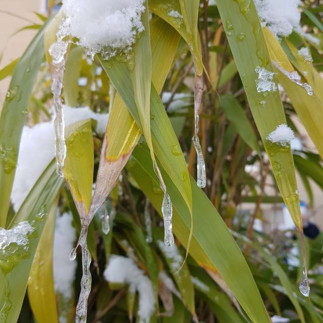 Lluniau Plant. Rhagolygon y tywydd gyda lluniau hyfryd gan aida-khaldi yn Schaffhausen