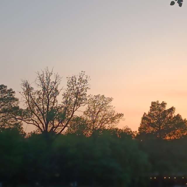 Fotos del Atardecer. Pronósticos del tiempo con hermosas fotos de YanBog en București